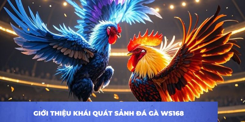 Giới thiệu khái quát sảnh đá gà WS168 