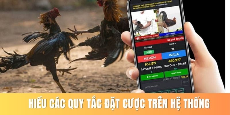 Hiểu các quy tắc đặt cược trên hệ thống