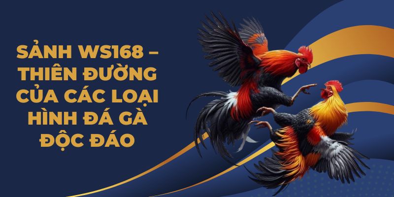 Sảnh WS168 – Thiên Đường Của Các Loại Hình Đá Gà Độc Đáo